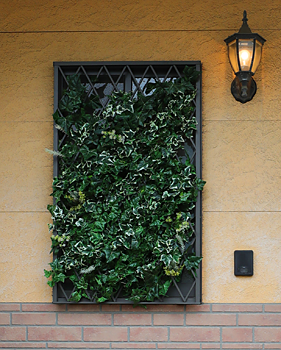 きのいおり　生の庵　ki no iori